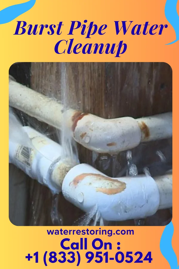 Burst Pipe Water Cleanup in Huntington, IN