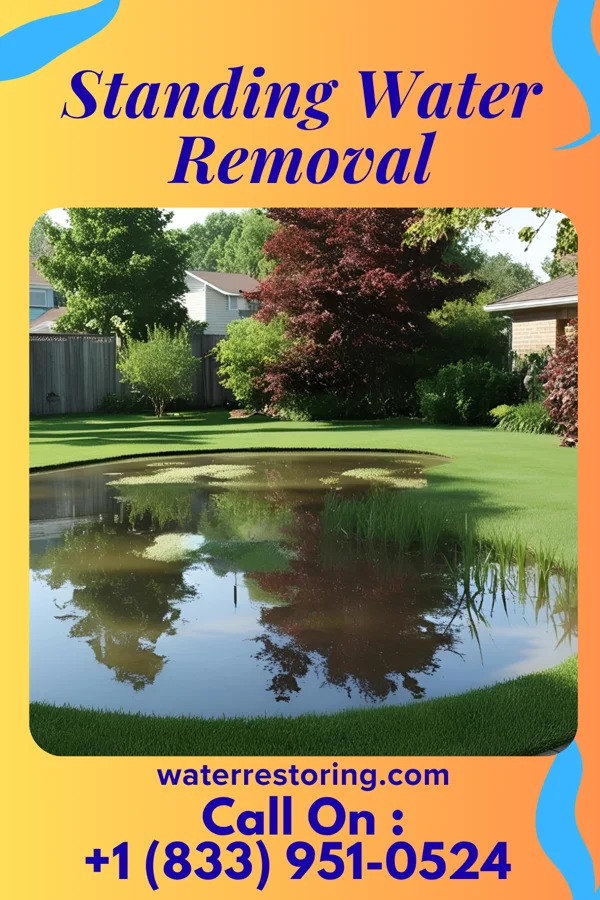 Standing Water Removal in Huntington, IN